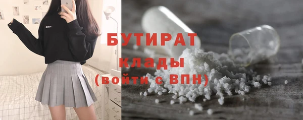 гидра Снежногорск