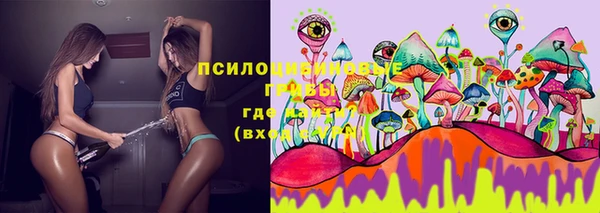 ПСИЛОЦИБИНОВЫЕ ГРИБЫ Богородицк