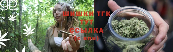 гидра Снежногорск